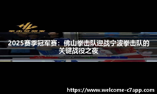 2025赛季冠军赛：佛山拳击队迎战宁波拳击队的关键战役之夜